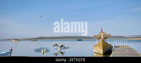 Oiseaux sur le lac. D'immenses pélicans débarquant sur l'eau avec un style vintage se vantent de l'arrière-plan. Golyazi (Apolyont), Uluabat, Bursa, Turquie. Banque D'Images