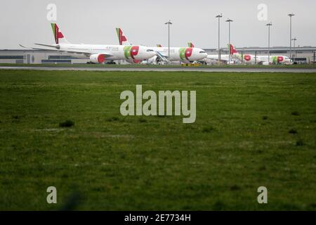 Lisbonne, Portugal. 29 janvier 2021. LES avions TAP Air Portugal sont vus à l'aéroport international de Lisbonne à Lisbonne, Portugal, le 29 janvier 2021. Le Parlement portugais a approuvé jeudi le renouvellement de l'état d'urgence dans le pays de janvier 31 à février 14 avec des mesures plus restrictives pour contenir la COVID-19. Parmi les changements proposés par le gouvernement, il est proposé de limiter les citoyens portugais à voyager à l'extérieur du pays par tous les moyens, ainsi que le retour du contrôle des frontières terrestres. Crédit: Pedro Fiuza/Xinhua/Alay Live News Banque D'Images