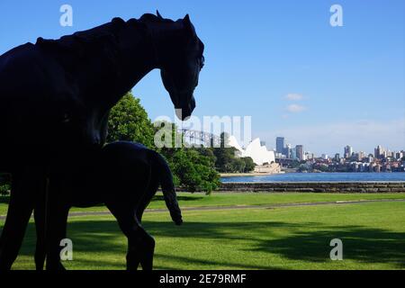 Un cheval qui aperçoit l'opéra et le port de Sydney Pont du jardin botanique royal Banque D'Images