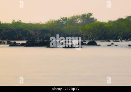 Vue panoramique sur l'eau de mer soyeuse avec rochers et plantes de mangroves vertes flottant. Vue sur la plage de la mer. Banque D'Images