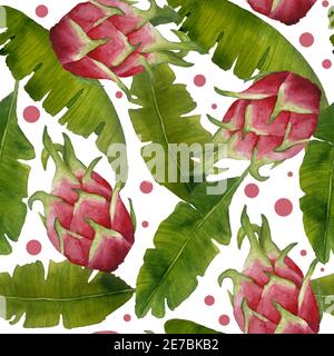 aquarelle sans couture motif banane feuilles dagon fruit pitaya pitahaya. Feuilles vertes végétation tropicale luxuriante feuillage exotique délicat verdure éléments isolés pour la composition design naturel bio tendance Banque D'Images