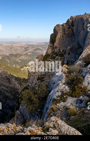 Pinsapar (Abies Pinsapo) y Tajo Albercas dans le parc national de la Sierra de las Nieves dans la municipalité de Yunquera à Malaga. Andalousie. Espagne Banque D'Images