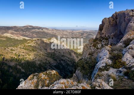 Pinsapar (Abies Pinsapo) y Tajo Albercas dans le parc national de la Sierra de las Nieves dans la municipalité de Yunquera à Malaga. Andalousie. Espagne Banque D'Images