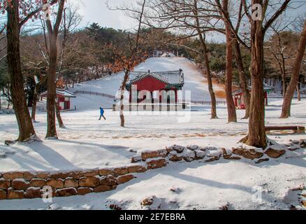 Tombe royale de Jeongneung, 28 janvier 2021 : UN homme marche à la tombe royale de Jeongneung après une chute de neige à Séoul, en Corée du Sud. La tombe royale de Jeongneung est un des sites du patrimoine mondial de l'UNESCO à Séoul. C'est le tombeau royal de la reine Sindeok, deuxième consort du roi Taejo, Yi Seong-Gye (1335-1408) qui fut le fondateur et le premier roi de la dynastie Joseon (1392-1910) de Corée. Credit: Lee Jae-won/AFLO/Alay Live News Banque D'Images