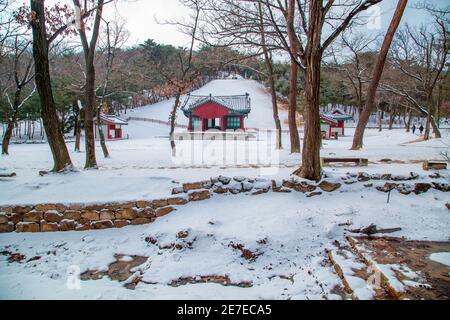 Tombe royale de Jeongneung, 28 janvier 2021 : les gens marchent à la tombe royale de Jeongneung après une chute de neige à Séoul, en Corée du Sud. La tombe royale de Jeongneung est un des sites du patrimoine mondial de l'UNESCO à Séoul. C'est le tombeau royal de la reine Sindeok, deuxième consort du roi Taejo, Yi Seong-Gye (1335-1408) qui fut le fondateur et le premier roi de la dynastie Joseon (1392-1910) de Corée. Credit: Lee Jae-won/AFLO/Alay Live News Banque D'Images