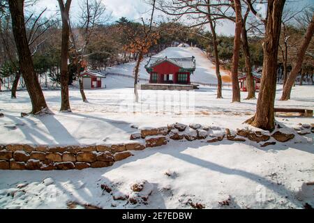 Tombe royale de Jeongneung, 28 janvier 2021 : tombe royale de Jeongneung après une chute de neige à Séoul, Corée du Sud. La tombe royale de Jeongneung est un des sites du patrimoine mondial de l'UNESCO à Séoul. C'est le tombeau royal de la reine Sindeok, deuxième consort du roi Taejo, Yi Seong-Gye (1335-1408) qui fut le fondateur et le premier roi de la dynastie Joseon (1392-1910) de Corée. (Photo de Lee Jae-Won/AFLO) (CORÉE DU SUD) Banque D'Images