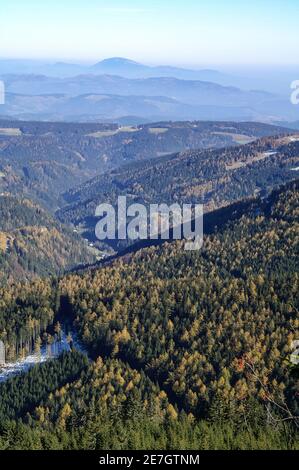 Vue sur les forêts de conifères sur le Pack Saddle (allemand: Packsattel) un col de montagne dans les Alpes autrichiennes entre la vallée de la Lavant et Styrie Autriche Banque D'Images