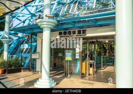 Serre tropicale à la forêt tropicale au jardin botanique du Musée national des sciences naturelles. Un musée national de Taichung. Taïwan. Banque D'Images