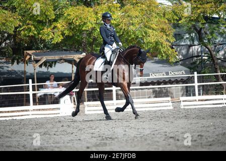 Concours de dressage octobre 2019 Israël Banque D'Images