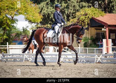 Concours de dressage octobre 2019 Israël Banque D'Images