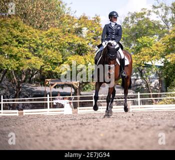 Concours de dressage octobre 2019 Israël Banque D'Images