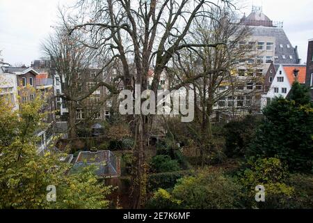 Vue sur le châtaignier de 150 à 170 ans de la maison où Anne Frank a vécu à Amsterdam, le 16 novembre 2007. Les activistes opposés à l'abattage du châtaignier Anne Frank pourrait voir que, lorsqu'elle s'est cachée des nazis jeudi, elle a gagné le droit à une audience de justice qui pourrait l'sauver de la chop. L'arbre, derrière l'annexe de l'entrepôt d'Amsterdam où Anne Frank s'est caché des Nazis jusqu'en 1944, est si malade et endommagé qu'il y a un risque qu'il pourrait se renverser. REUTERS/Jerry Lampen (PAYS-BAS)