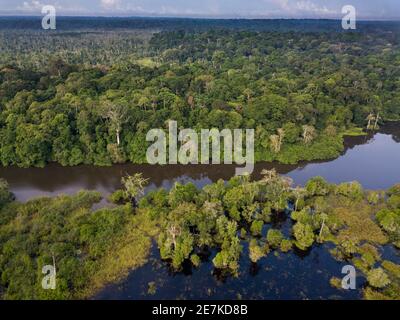 Vue aérienne de la forêt tropicale du Congo le long de la rivière Rembo Ngowe, Akaka, Parc national de Loango, Gabon. Banque D'Images