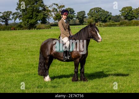 Jeune fille sur gallois cop poney le jour ensoleillé avec Le Border Beagle Hound Club traînent légalement la chasse et propre chasse au coffre Banque D'Images