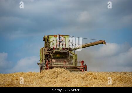 moissonneuse-batteuse claas matador d'époque à l'œuvre en combinant dans le campagne du royaume-uni Banque D'Images