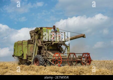 moissonneuse-batteuse claas matador d'époque à l'œuvre en combinant dans le campagne du royaume-uni Banque D'Images