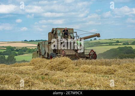 moissonneuse-batteuse claas matador d'époque à l'œuvre en combinant dans le campagne du royaume-uni Banque D'Images