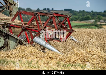 moissonneuse-batteuse claas matador d'époque à l'œuvre en combinant dans le campagne du royaume-uni Banque D'Images