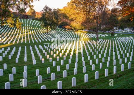 Les érables rouges, orange et or ajoutent la couleur de l'automne aux rangées soignées de marqueurs de tombe du cimetière national d'Arlington, à Arlington, en Virginie. Banque D'Images