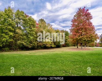 Parc national Tomlinson Run en Virginie occidentale au début de l'automne, avec les feuilles de l'arbre en train de changer de couleur et les feuilles mortes sur le sol, herbe verte, bleu Banque D'Images