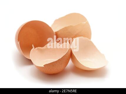 Ouvrez les coquilles d'œufs fissurées sur fond blanc. Banque D'Images