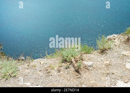 Arrière-plan bicolore naturel. Bleu océan et couleur sable. Des grappes d'herbe verte sur une falaise au bord de la mer. Copier l'espace pour le texte. Banque D'Images