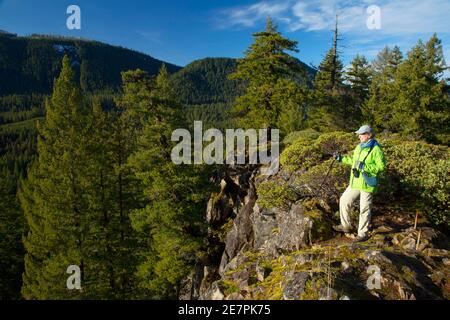 Vue depuis Independence Rock, West Cascades Scenic Byway, Willamette National Forest, Oregon Banque D'Images