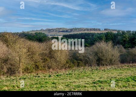 une vue pittoresque et lumineuse sur plusieurs broussailles et forêts à une colline lointaine surmontée d'une forêt avec un ciel bleu à motifs Banque D'Images