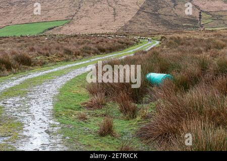 Scène de campagne près de Portmagee, comté de Kerry, Irlande Banque D'Images