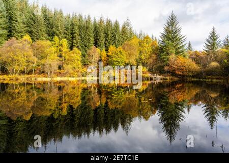 Réflexions d'automne sur Lochan Spling dans la forêt du Loch ARD, AberDoyle, Écosse, Royaume-Uni Banque D'Images