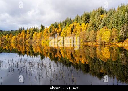 Réflexions d'automne sur Lochan Spling dans la forêt du Loch ARD, AberDoyle, Écosse, Royaume-Uni Banque D'Images