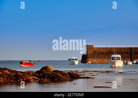 Image du port de la Rocque, Jersey Channel Islands. Banque D'Images