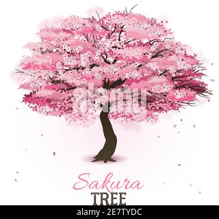 Illustration réaliste de vecteur de cerisier japonais sakura en fleur rose Illustration de Vecteur