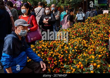 Un vendeur a vu porter un masque de visage que les piétons regardent pour acheter des arbres de kumquat, également connu sous le nom d'arbres tangerines, au marché des fleurs pendant les préparatifs pour les prochaines vacances lunaires de nouvel an Ox chinois. Banque D'Images