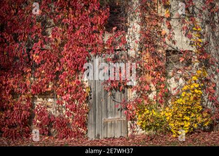 Schloss und Park Dieskau. Parc der malerische Dieskau statif Ende des 18. Jahrhunderts. Banque D'Images