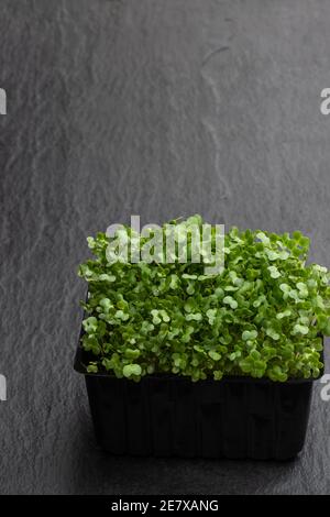 Salade de cresson fraîche sur fond gris Banque D'Images