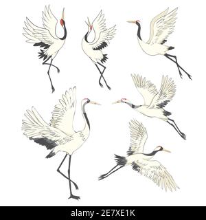 Ensemble d'oiseaux de grue. Illustration sur fond blanc Illustration de Vecteur