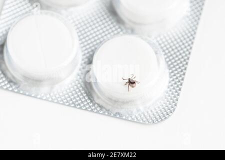 insecte acarien sur les pilules de médicaments. parasite parasite gros plan Banque D'Images