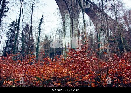 Vue sur le paysage du Viaduc de Grandfey (pont Grandfey), à Fribourg, Suisse Banque D'Images