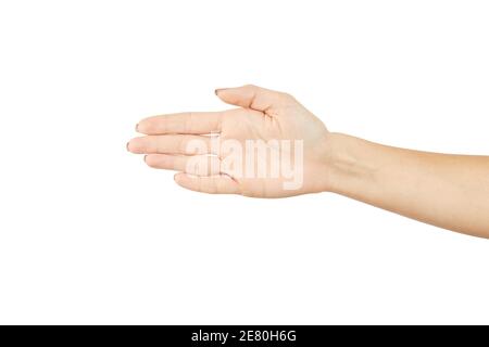 une femme montrant la paume ouverte isolée sur un fond blanc. stop ou direction gestuelle concept. maquette Banque D'Images