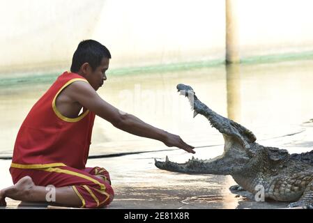 Samut Prakan, Thaïlande. 30 janvier 2021. Thaïlande - UN spectacle entre les acteurs portant des chemises rouges et des crocodiles à la ferme aux crocodiles de Samutprakarn le 30 janvier 2021, province de Samut Prakan, le spectacle est très populaire auprès des touristes. Mais avec la pandémie de coronavirus (COVID-19), le nombre de touristes est considérablement réduit. (Photo de Teera Noisakran/Pacific Press) Credit: Pacific Press Media production Corp./Alay Live News Banque D'Images