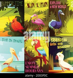 Oiseaux exotiques colorés 6 affiches composition avec perroquet pélican de cocatoo et flamants roses sur la plage illustration vectorielle Illustration de Vecteur