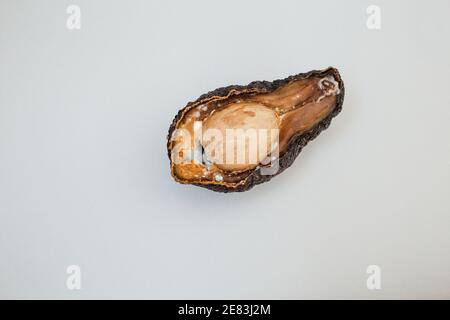 La moitié de l'avocat pourri malsain sur fond clair. Mauvaise coupe d'avocat ouverte. Avocat moisie Banque D'Images