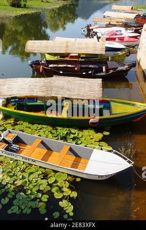 Virpazar, Montenegro - 14 juillet 2013: Bateaux de tourisme dans la ville de Virpazar sur le parc national du lac de Skadar, Montenegro. Virpazar est une petite villa agréable Banque D'Images