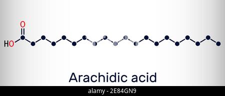 Acide arachidique, molécule d'acide eicosanoïque, icosanoïque. Il est saturé d'acide gras à longue chaîne. Formule chimique du squelette. Illustration vectorielle Illustration de Vecteur