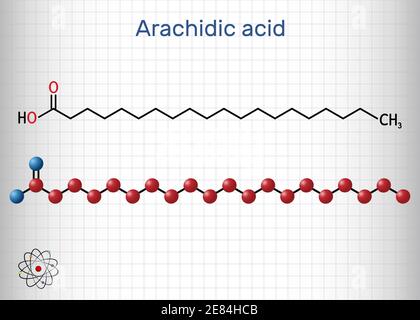 Acide arachidique, molécule d'acide eicosanoïque, icosanoïque. Il est saturé d'acide gras à longue chaîne. Feuille de papier dans une cage. Illustration vectorielle Illustration de Vecteur