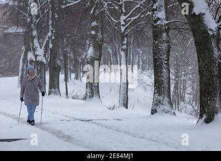 Riga, Lettonie. 30 janvier 2021. Une femme marche à Riga, en Lettonie, le 30 janvier 2021. Un cyclone avec un centre à la frontière entre l'Estonie et la Russie a provoqué une longue période de fortes chutes de neige en Lettonie ce week-end, ont déclaré des météorologues samedi. Le Centre letton de l'environnement, de la géologie et de la météorologie a émis un avertissement orange sur les chutes de neige et les blizzards, qui devaient augmenter la couverture de neige déjà épaisse dans les parties nord du pays et la capitale Riga de 20 centimètres d'ici dimanche matin. Crédit: Edijs Palens/Xinhua/Alamy Live News Banque D'Images