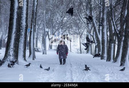 Riga, Lettonie. 30 janvier 2021. Une femme marche dans la neige à Riga, en Lettonie, le 30 janvier 2021. Un cyclone avec un centre à la frontière entre l'Estonie et la Russie a provoqué une longue période de fortes chutes de neige en Lettonie ce week-end, ont déclaré des météorologues samedi. Le Centre letton de l'environnement, de la géologie et de la météorologie a émis un avertissement orange sur les chutes de neige et les blizzards, qui devaient augmenter la couverture de neige déjà épaisse dans les parties nord du pays et la capitale Riga de 20 centimètres d'ici dimanche matin. Crédit: Edijs Palens/Xinhua/Alamy Live News Banque D'Images