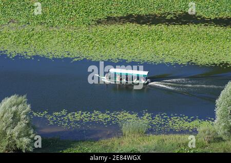 RIJEKA CRNOJEVICA, MONTENENGRO - 17 JUILLET 2013 : bateau touristique sur la rivière Crnojevica dans le parc national du lac Skadar, Monténégro, le 17 juillet 2013 Banque D'Images