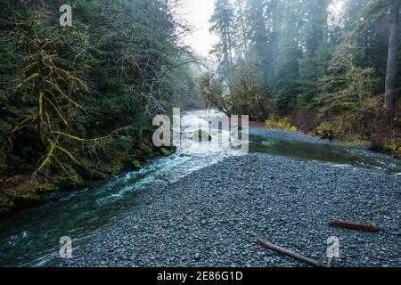 La rivière Skokomish, dans la zone Staircase Rapids du parc national olympique, Washington, États-Unis. Banque D'Images